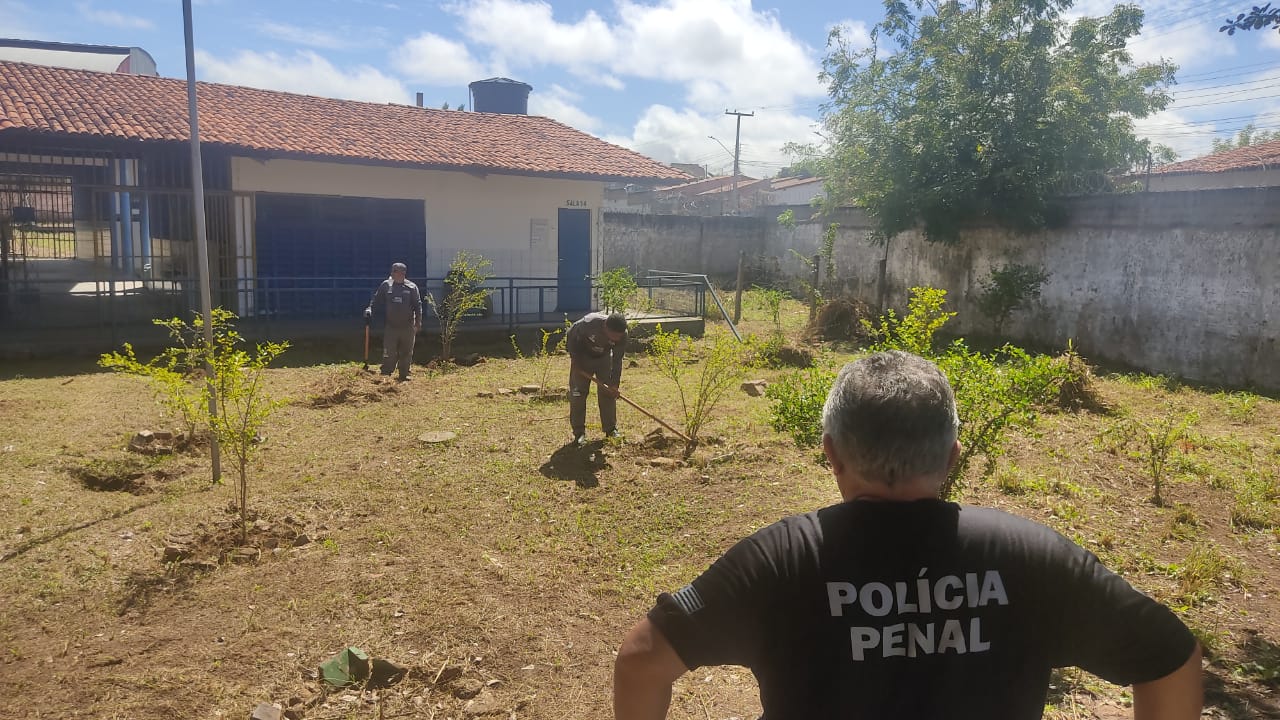 Mais de 20 escolas municipais já foram limpas na Operação de Combate à Dengue em Teresina